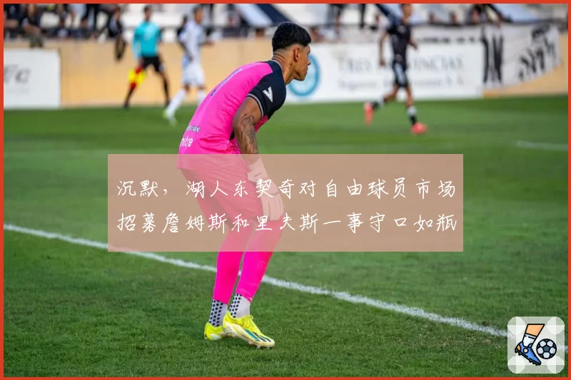 沉默，湖人东契奇对自由球员市场招募詹姆斯和里夫斯一事守口如瓶