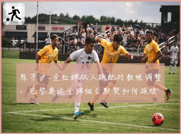 陈芋汐_全红婵双人跳配对教练调整,巴黎奥运金牌组合默契如何延续?