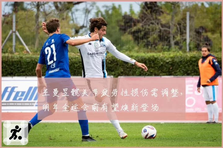 王曼昱髋关节疲劳性损伤需调整,明年全运会前有望焕新登场