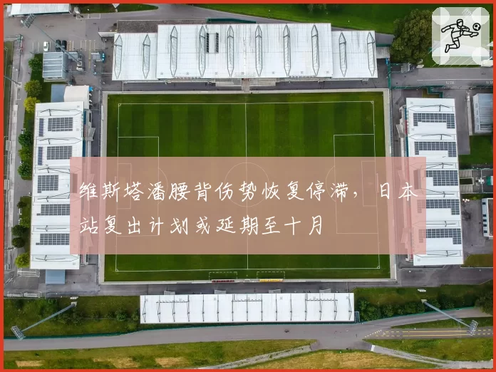 维斯塔潘腰背伤势恢复停滞，日本站复出计划或延期至十月